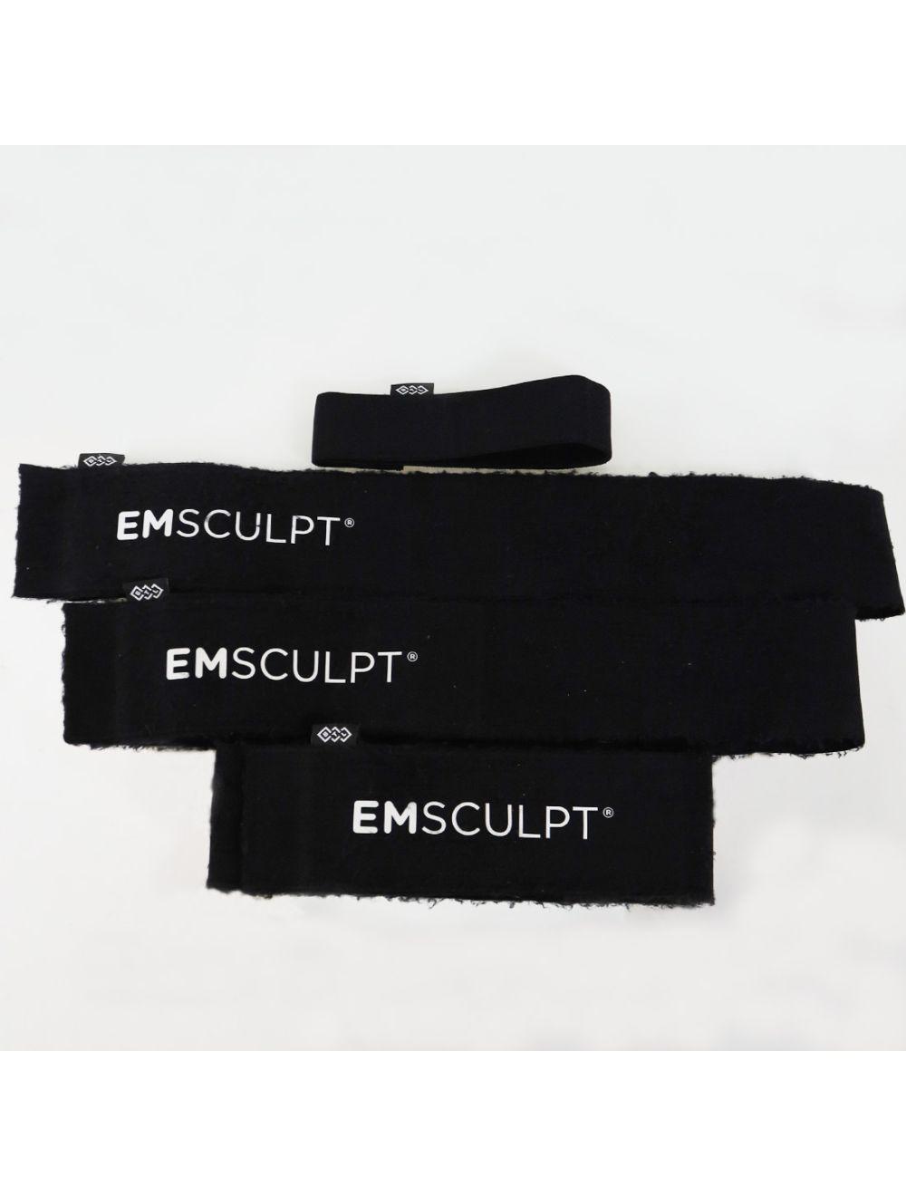 2019 BTL EmSculpt Non Invasive Body Sculpting System With Large and Small Paddles