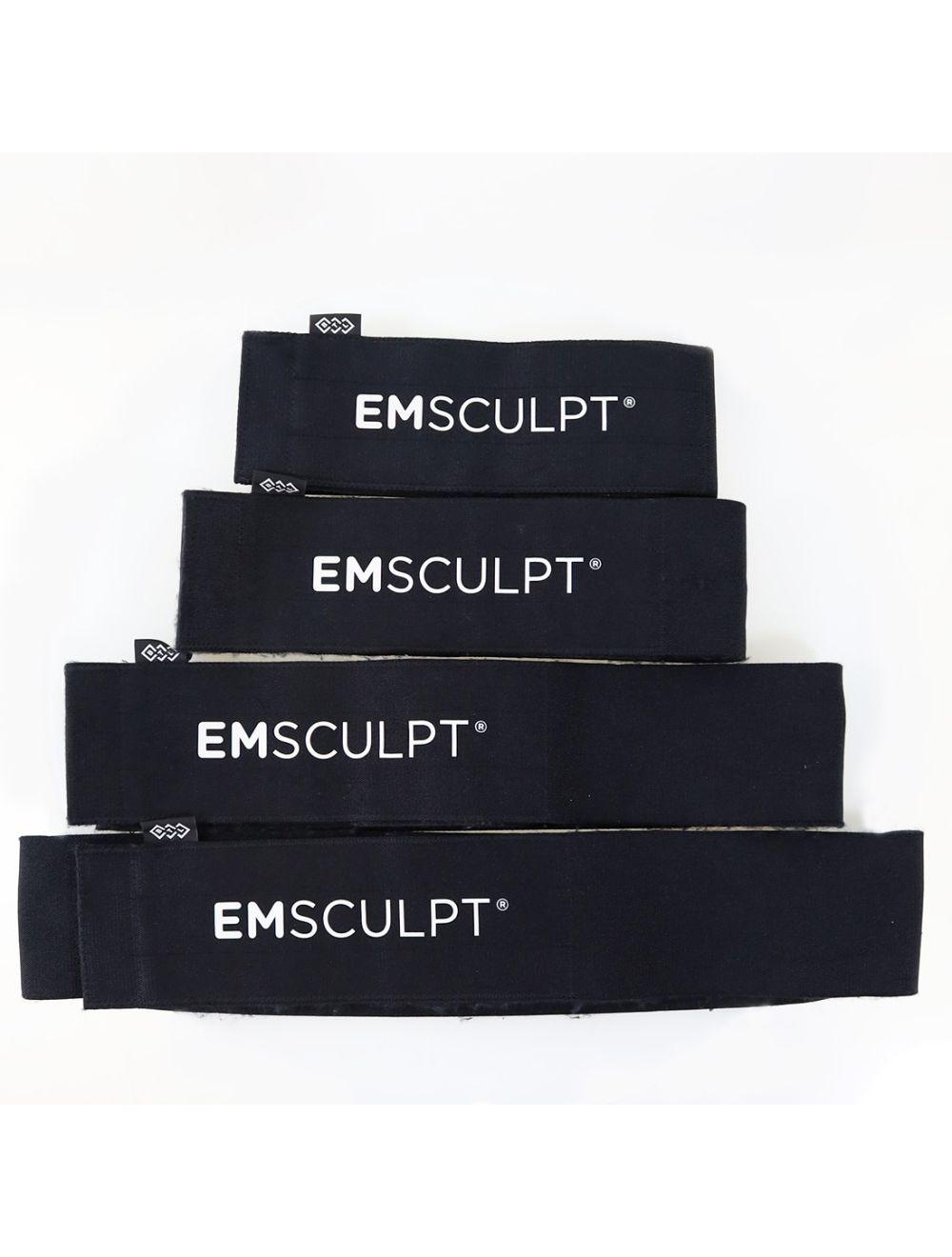 2020 BTL EmSculpt Body Sculpting With Emsella Electromagnetic Incontinence System